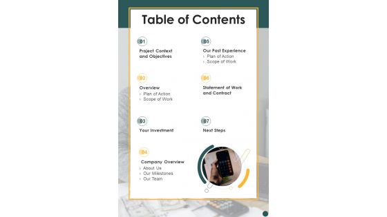 Capital Tax Services Proposal Table Of Contents One Pager Sample Example Document