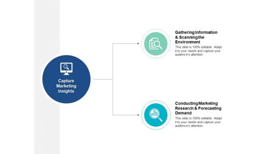 Capture Marketing Insights Ppt PowerPoint Presentation Model Guide