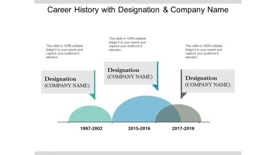 Career History With Designation And Company Name Ppt PowerPoint Presentation Summary Rules