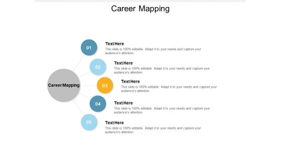 Career Mapping Ppt PowerPoint Presentation Infographics Display Cpb