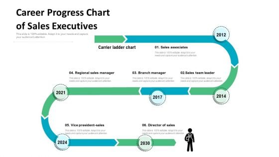 Career Progress Chart Of Sales Executives Ppt PowerPoint Presentation Icon Model PDF