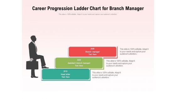 Career Progression Ladder Chart For Branch Manager Ppt PowerPoint Presentation Icon Backgrounds PDF