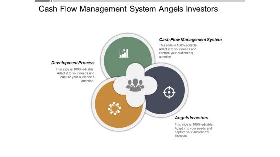 Cash Flow Management System Angels Investors Development Process Ppt PowerPoint Presentation Infographic Template Ideas