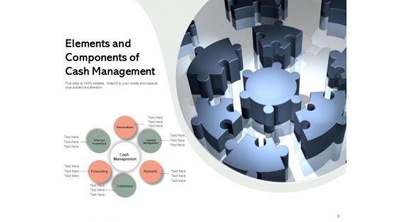 Cash Management Techniques Management Strategies Ppt PowerPoint Presentation Complete Deck