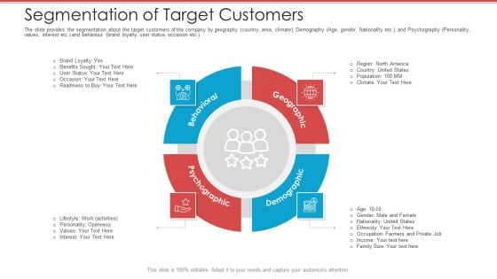 Cash Market Investor Deck Segmentation Of Target Customers Ppt Gallery Template PDF Cash Market Investor Deck Segmentation Of Target Customers Ppt Gallery Template PDF