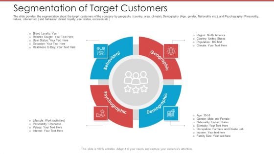 Cash Market Investor Deck Segmentation Of Target Customers Ppt Gallery Template PDF