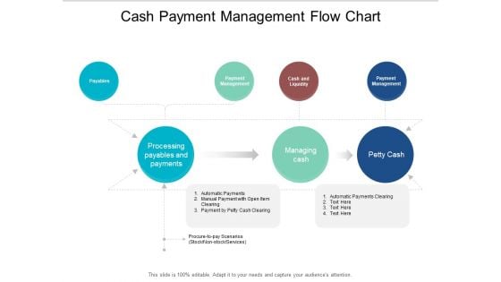 Cash Payment Management Flow Chart Ppt PowerPoint Presentation Styles Professional