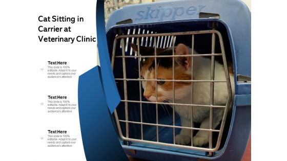 Cat Sitting In Carrier At Animal Hospital Ppt PowerPoint Presentation Slides Visuals PDF