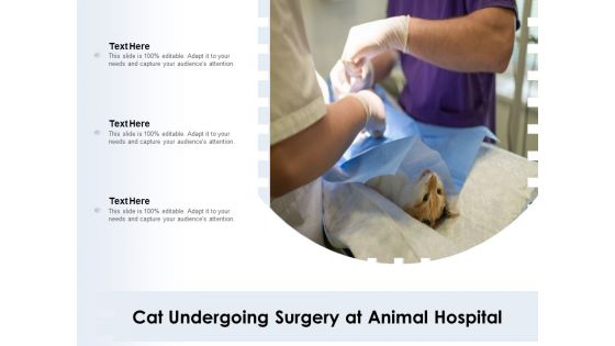 Cat Undergoing Surgery At Animal Hospital Ppt PowerPoint Presentation Layouts Example PDF