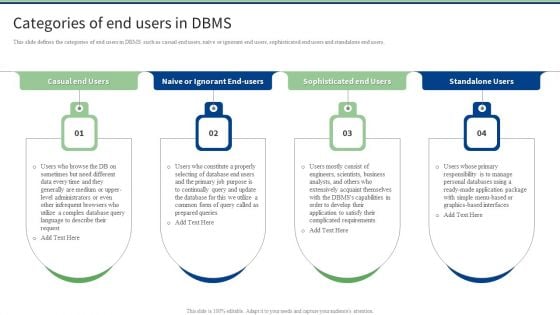 Categories Of End Users In DBMS Ppt PowerPoint Presentation File Layouts PDF