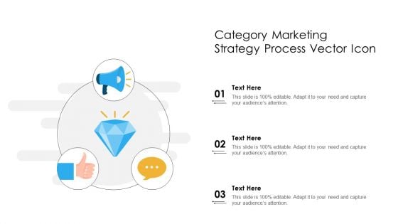 Category Marketing Strategy Process Vector Icon Ppt PowerPoint Presentation Visual Aids Slides PDF