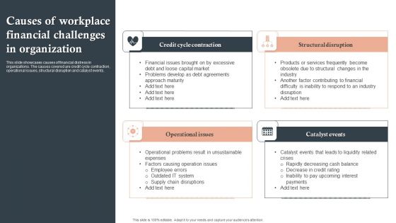 Causes Of Workplace Financial Challenges In Organization Ppt File Influencers PDF