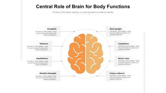 Central Role Of Brain For Body Functions Ppt PowerPoint Presentation File Graphic Tips PDF