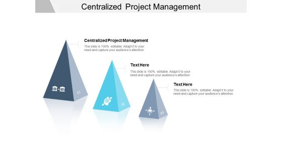 Centralized Project Management Ppt PowerPoint Presentation Outline Layout Ideas Cpb