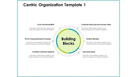 Centric Organization Template Effort Client Centric Strategies Summary PDF