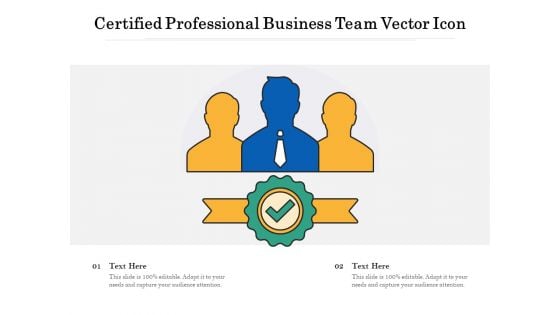 Certified Professional Business Team Vector Icon Ppt PowerPoint Presentation Infographics Templates PDF