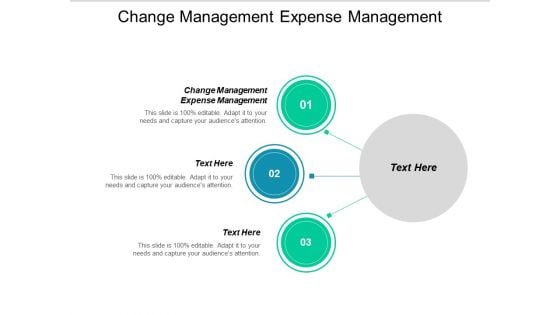 Change Management Expense Management Ppt PowerPoint Presentation Layouts Graphics Template Cpb