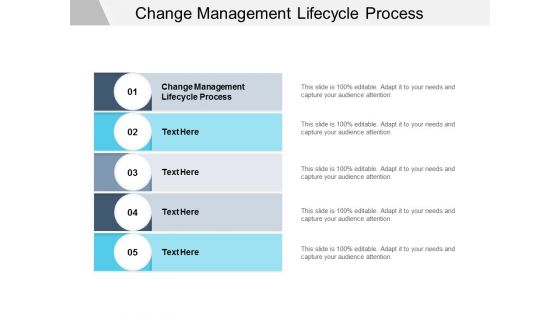 Change Management Lifecycle Process Ppt PowerPoint Presentation Slides Styles Cpb