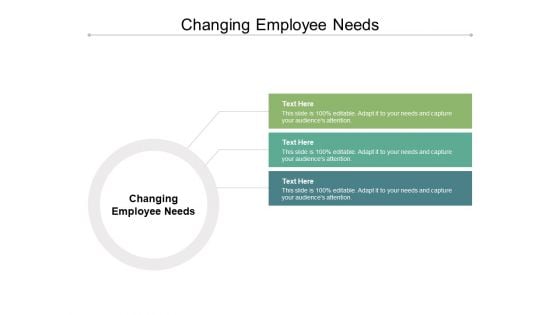 Changing Employee Needs Ppt PowerPoint Presentation File Skills Cpb