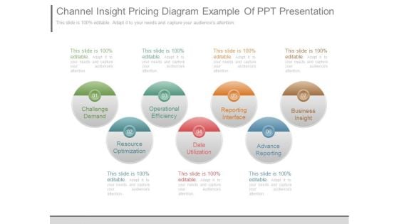 Channel Insight Pricing Diagram Example Of Ppt Presentation