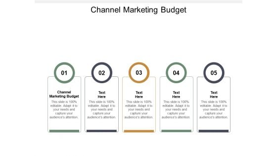 Channel Marketing Budget Ppt PowerPoint Presentation Summary Icons Cpb