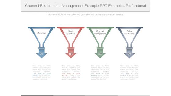 Channel Relationship Management Example Ppt Examples Professional
