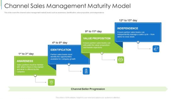 Channel Sales Management Maturity Model Ppt Professional Elements PDF