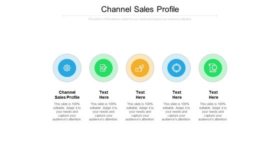 Channel Sales Profile Ppt PowerPoint Presentation Infographic Template Files Cpb Pdf