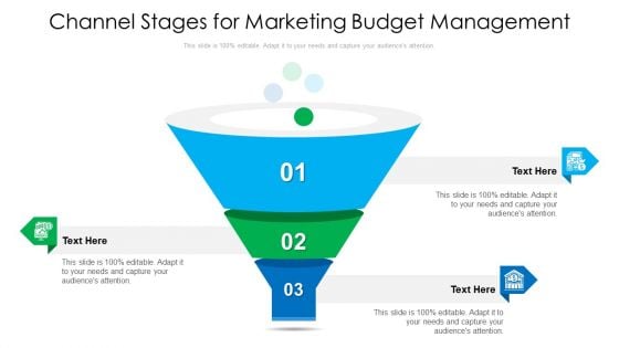 Channel Stages For Marketing Budget Management Ppt PowerPoint Presentation Icon Files PDF