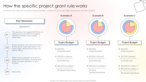 Charitable Leadership Playbook For Policy Advocacy How The Specific Project Grant Rule Works Brochure PDF