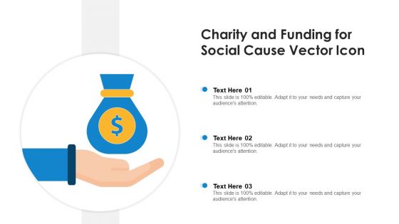 Charity And Funding For Social Cause Vector Icon Ppt PowerPoint Presentation File Visual Aids PDF