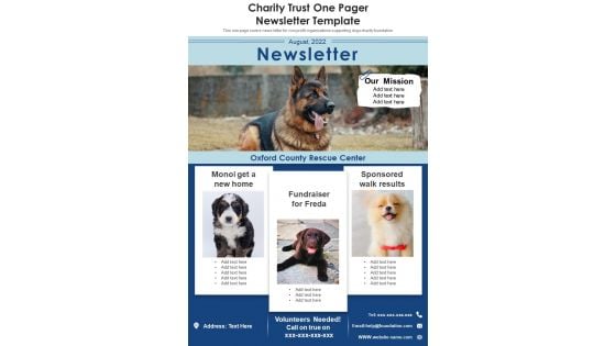 Charity Trust One Pager Newsletter Template PDF Document PPT Template