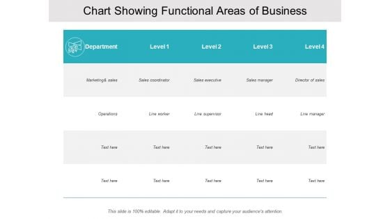 Chart Showing Functional Areas Of Business Ppt PowerPoint Presentation Layouts Graphics