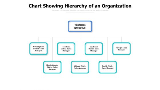 Chart Showing Hierarchy Of An Organization Ppt PowerPoint Presentation Pictures Influencers