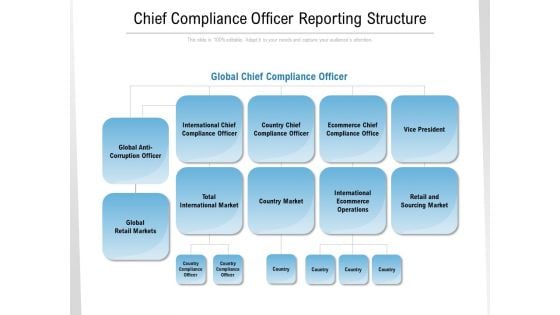 Chief Compliance Officer Reporting Structure Ppt Gallery Graphics Example PDF