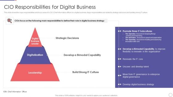 Chief Information Officer In Improving Organizational Value CIO Responsibilities Pictures PDF