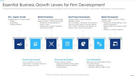 Chief Strategy Executive Playbook Essential Business Growth Levers For Firm Development Pictures PDF