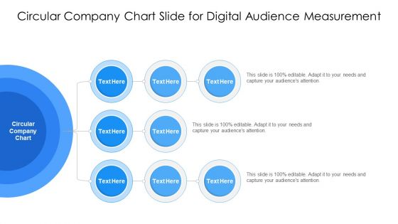 Circular Company Chart Slide For Digital Audience Measurement Ppt PowerPoint Presentation Gallery Infographic Template PDF