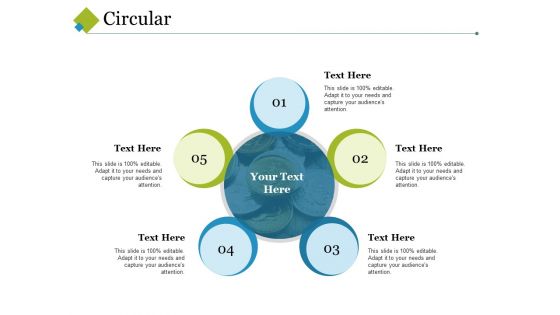 Circular Ppt PowerPoint Presentation Infographic Template Information