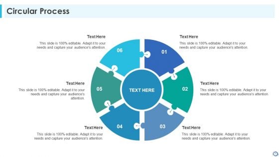 Circular Process Brochure PDF