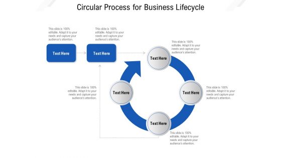 Circular Process For Business Lifecycle Ppt PowerPoint Presentation File Good PDF