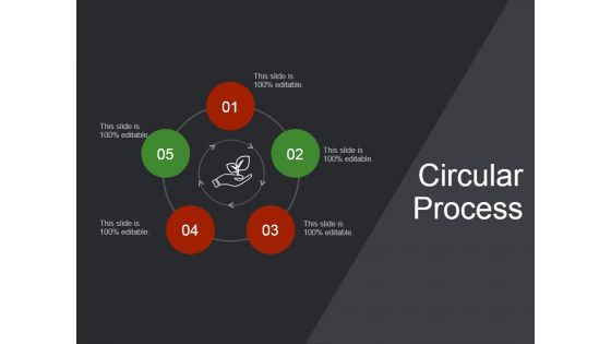 Circular Process Ppt PowerPoint Presentation Deck