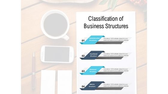 Classification Of Business Structures Ppt PowerPoint Presentation Outline Gridlines