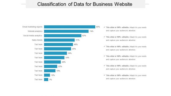 Classification Of Data For Business Website Ppt PowerPoint Presentation Styles Layout PDF