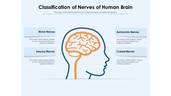 Classification Of Nerves Of Human Brain Ppt PowerPoint Presentation File Demonstration PDF