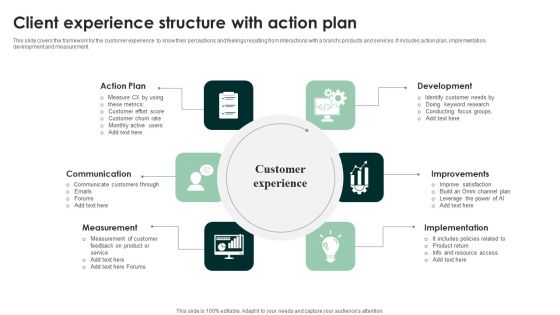 Client Experience Structure With Action Plan Mockup PDF