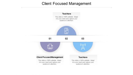 Client Focused Management Ppt Powerpoint Presentation Layouts Graphic Tips Cpb