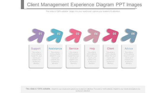 Client Management Experience Diagram Ppt Images