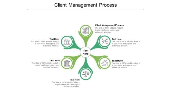 Client Management Process Ppt PowerPoint Presentation Diagram Images Cpb