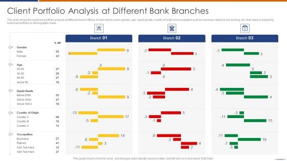 Client Portfolio Analysis At Different Bank Branches Infographics PDF